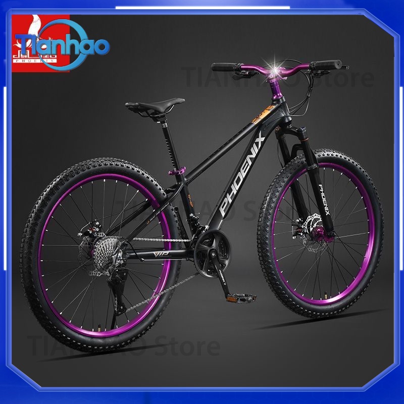 Aluminum Alloy Mountain Bike w - огляд і ціна Mountain Biking Phoenix